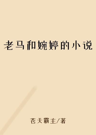 老马和婉婷的小说