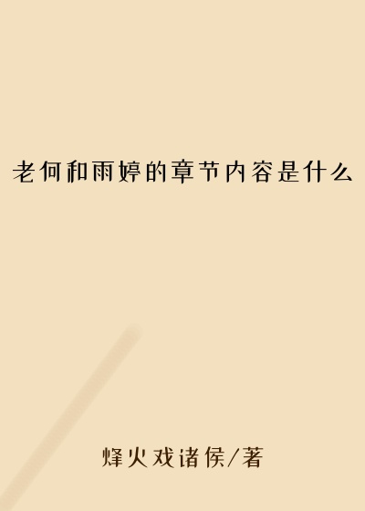 老何和雨婷的章节内容是什么